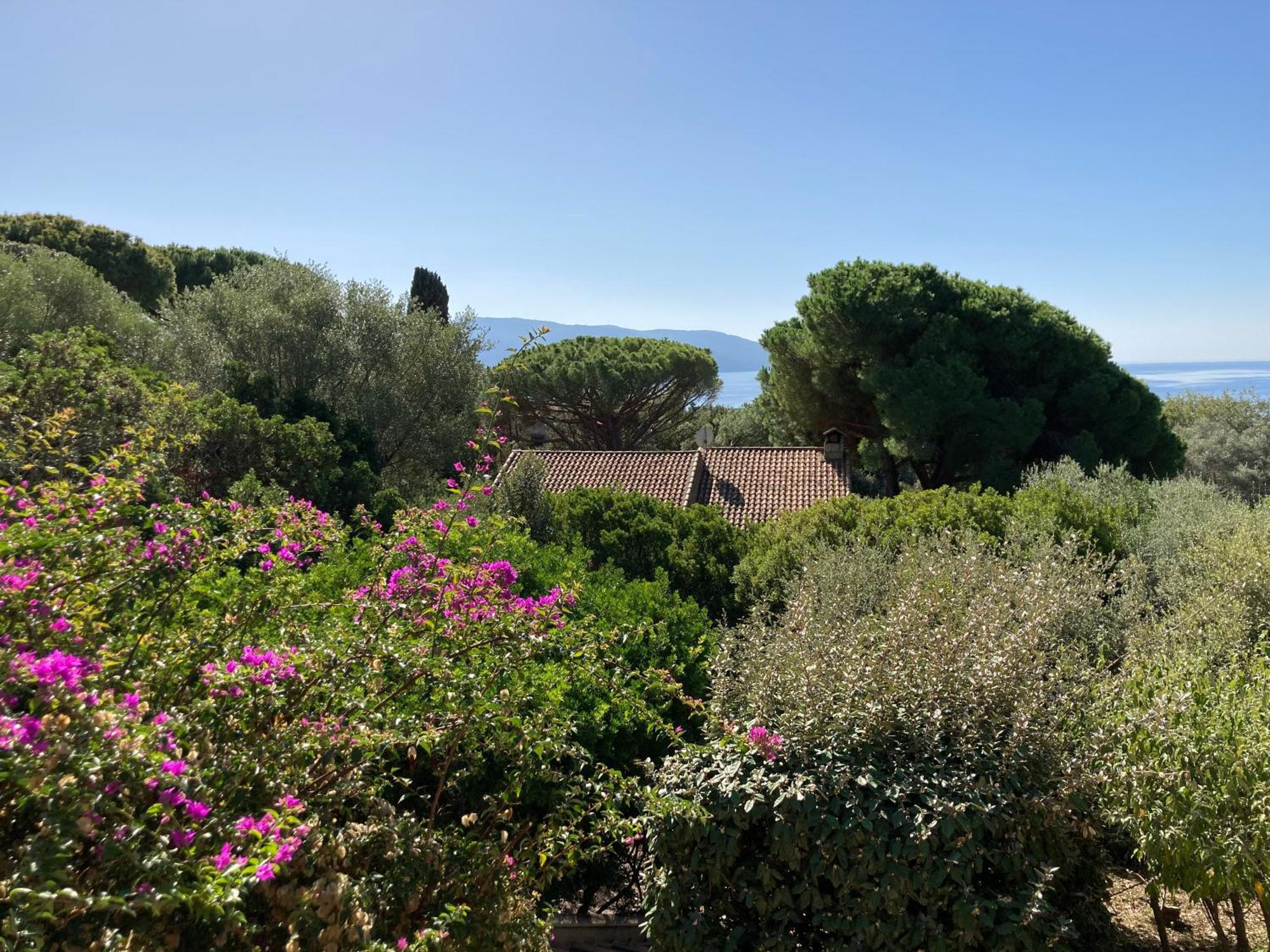 Chez Jean Claude La Villa Des Amis Olmeto  Exterior photo